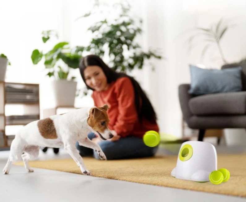 Automatischer Hunde-Ballwerfer – Interaktives Apportierspielzeug