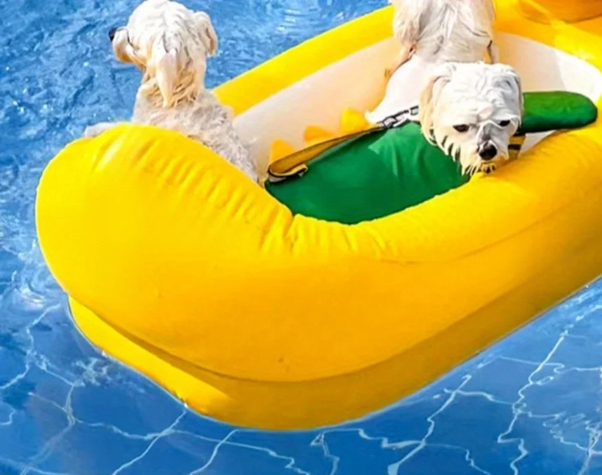 SwimBuddy 2-in-1 Hundepool-Schwimmhilfe
