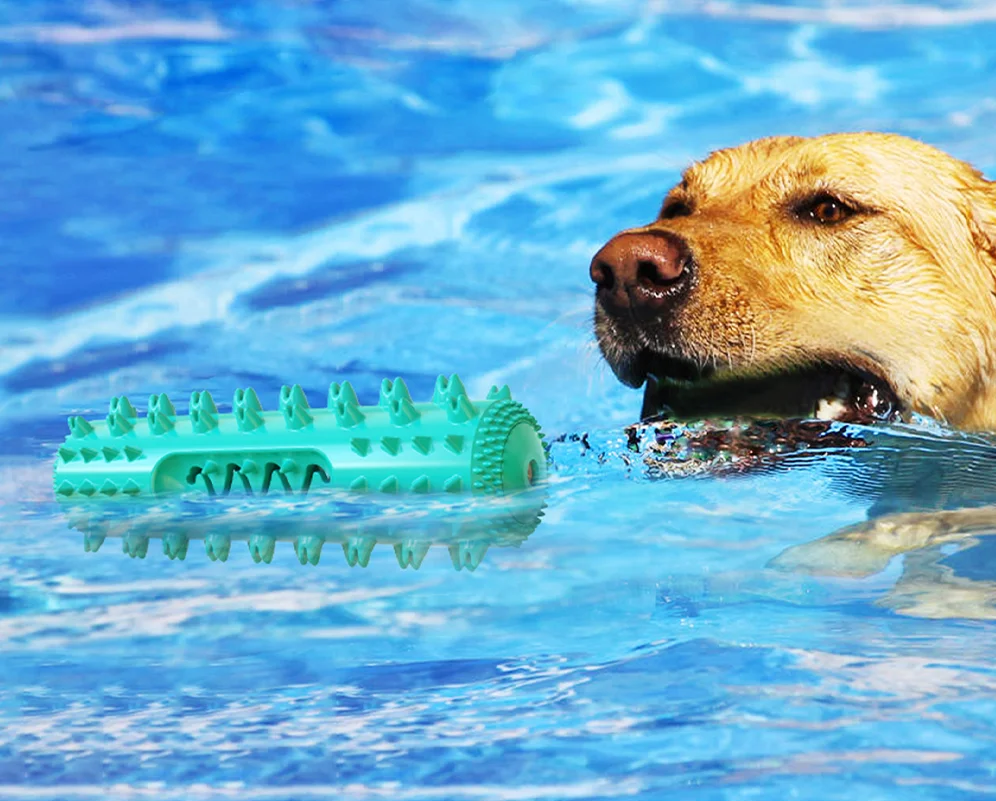 AquaBite Schwimmendes Quietschspielzeug für Hunde
