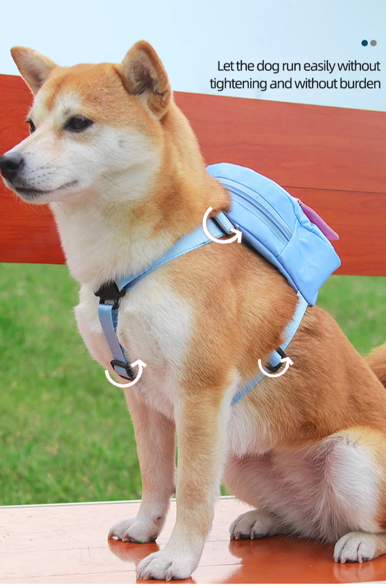 PawVoyage Wasserdichter Hunde-Reiserucksack