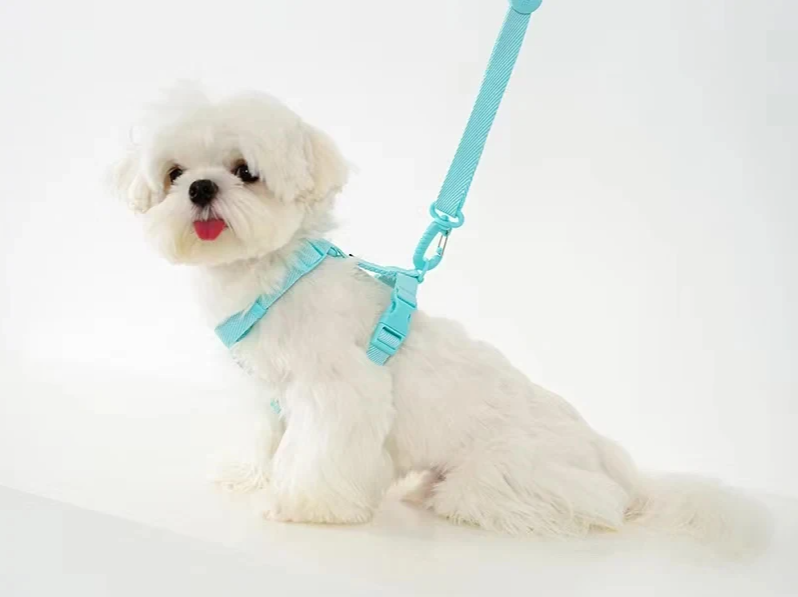 MacaroneWalk – Verstellbares Hundegeschirr-Set mit Halsband und Leine