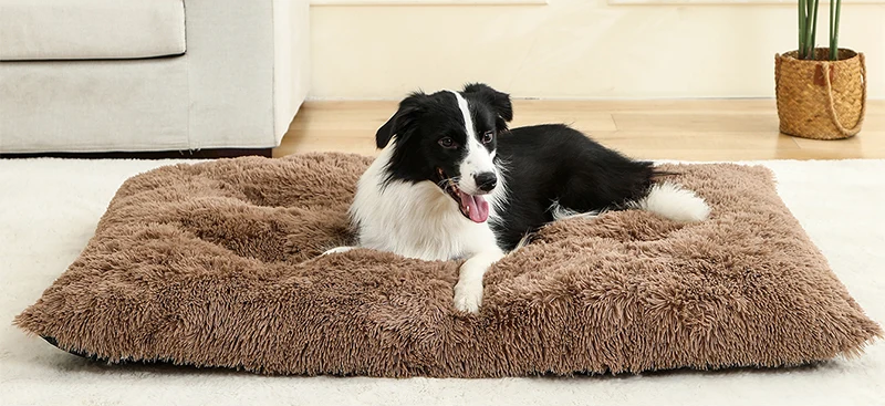 Paw Haven Luxus-Plüsch-Hunde- und Katzenbett