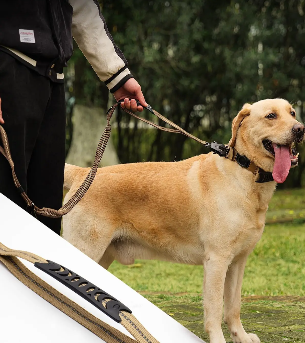 TATICRIP Reflektierende, stoßdämpfende Hundeleine mit Sicherheitsgurt – Für kräftige und aktive Hunde