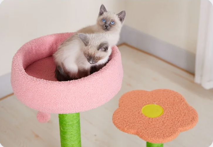 KlimPaws BloomNest Kratzbaum mit Sprungplattform und blütenförmigem Katzennest