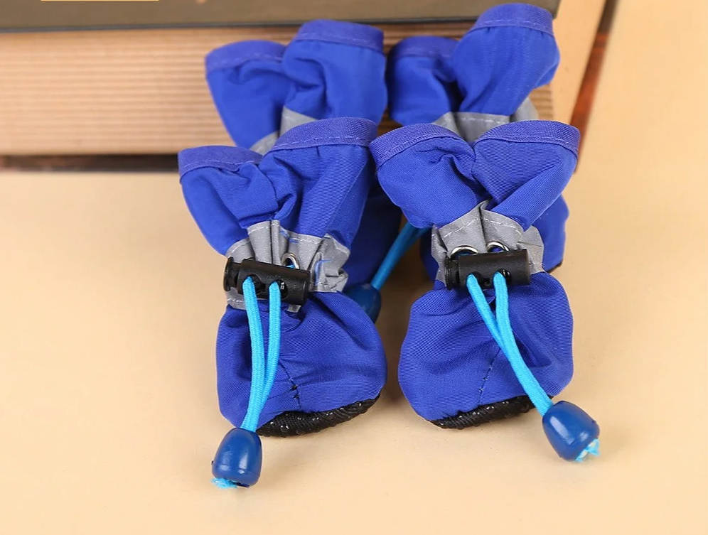 RainPaws wasserdichte Hundeschuhe