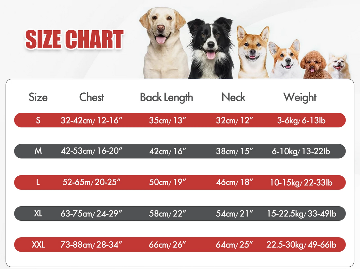 RoyalPaws Eleganter Hunde-Smok – Festlicher Hochzeitsanzug