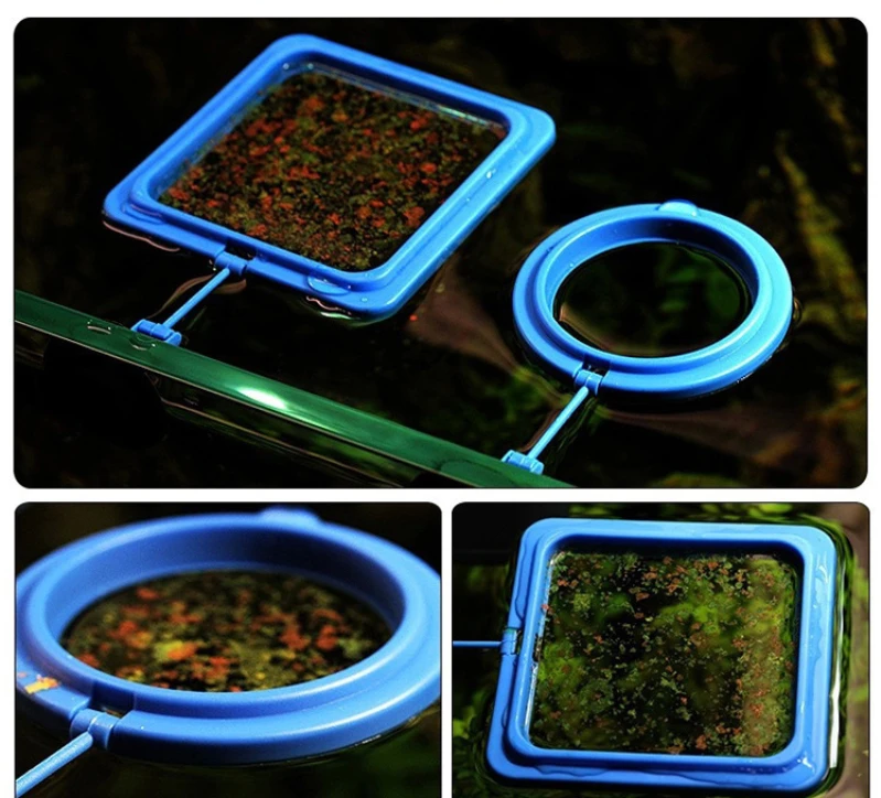 AquaRing Futterring für Aquarium