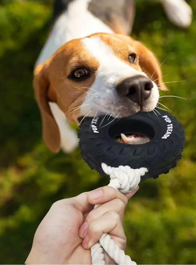 Climb Paws Hunde-Beißspielzeug