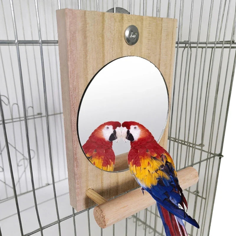Papageiensitzstange mit Spiegel – Naturholz, 13 cm Käfigspielzeug