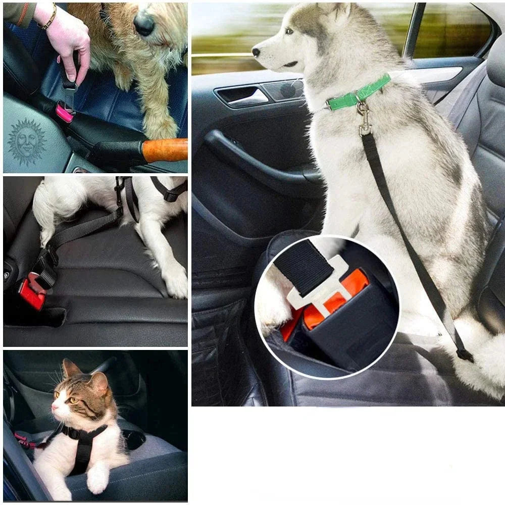 SAFEPAWS – Verstellbarer Sicherheitsgurt für Haustiere | Sicherheitsgurt für Hunde und Katzen