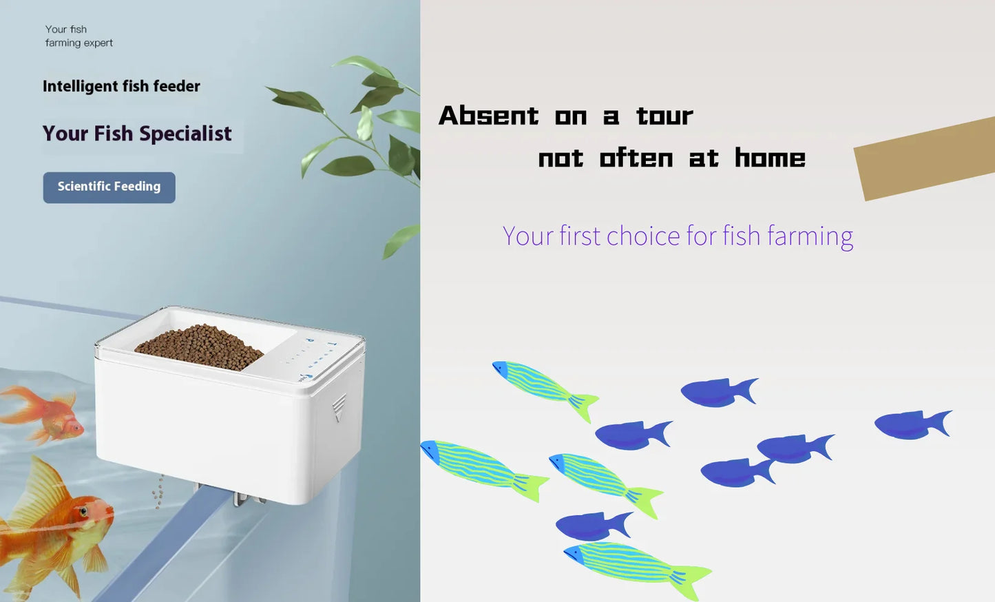 Aquariumfilter – geräuschloser Schwammfilter mit Sauerstoffpumpe – ABS