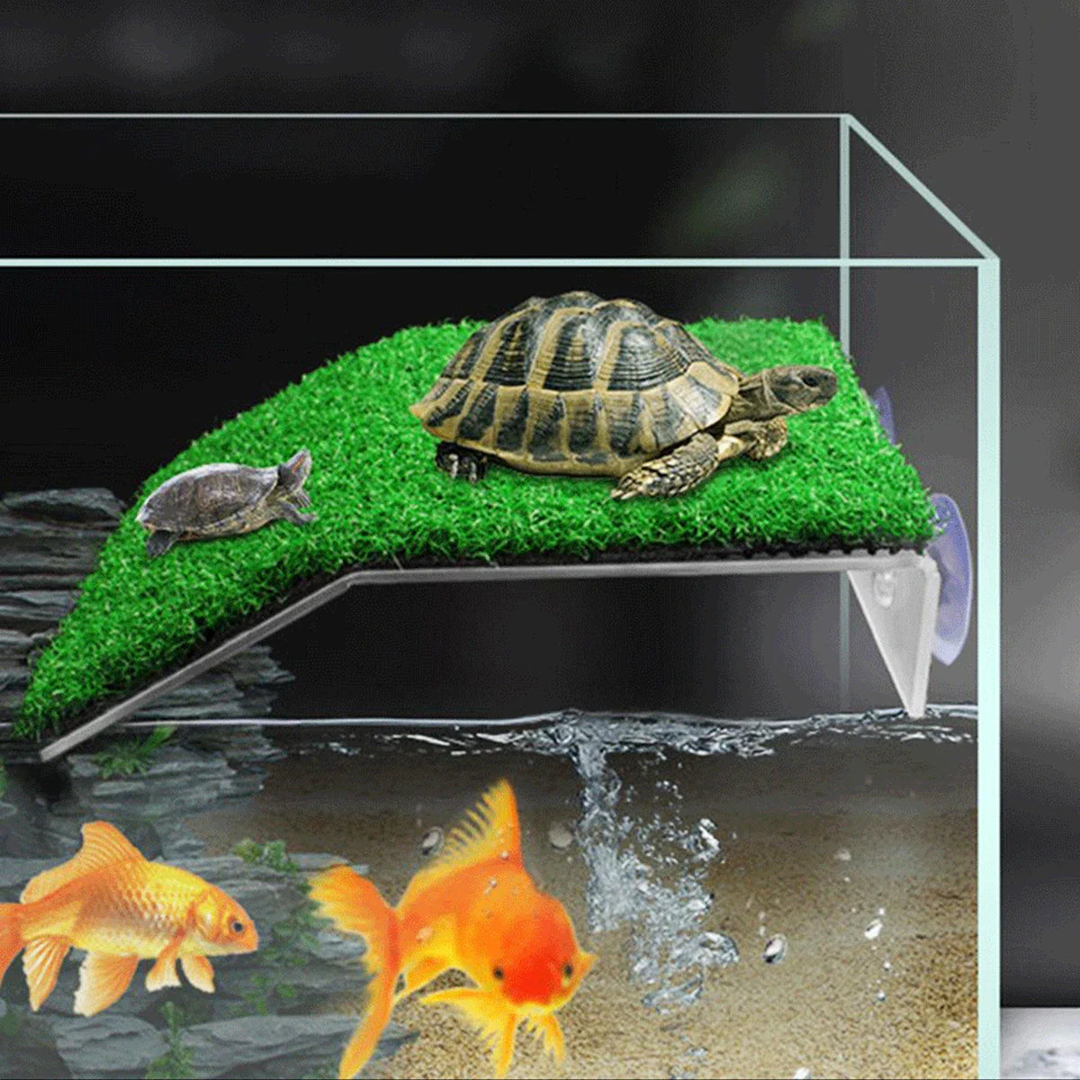 EcoLawn Schildkröten-Sonnenplattform – Schwimmende Insel mit Rampen und Kunstrasen