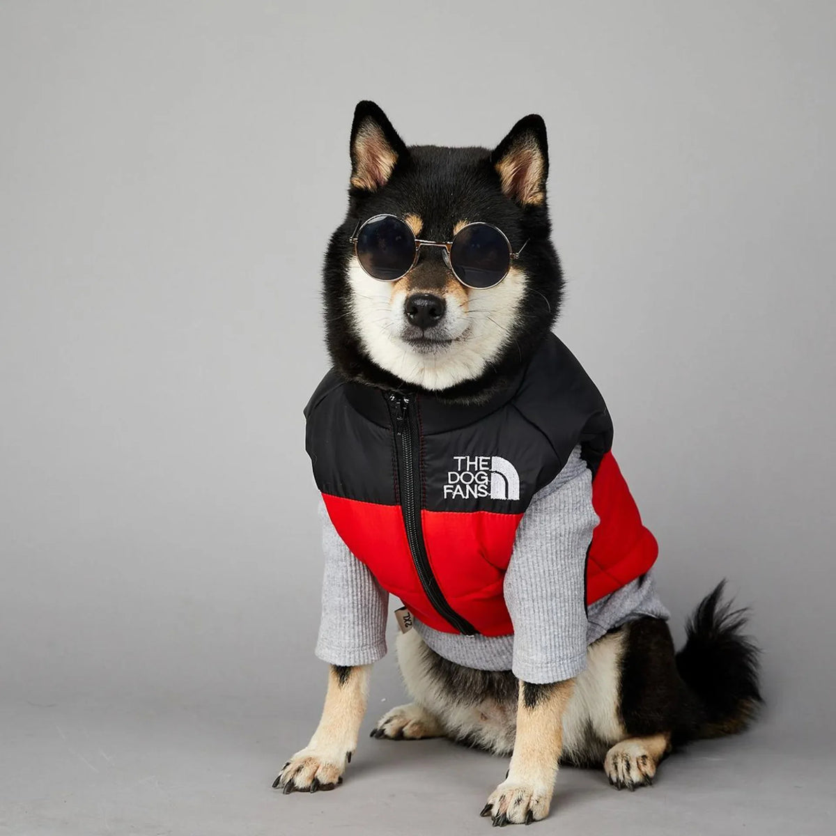 Der luxuriöse Hundeanzug für Hundefans