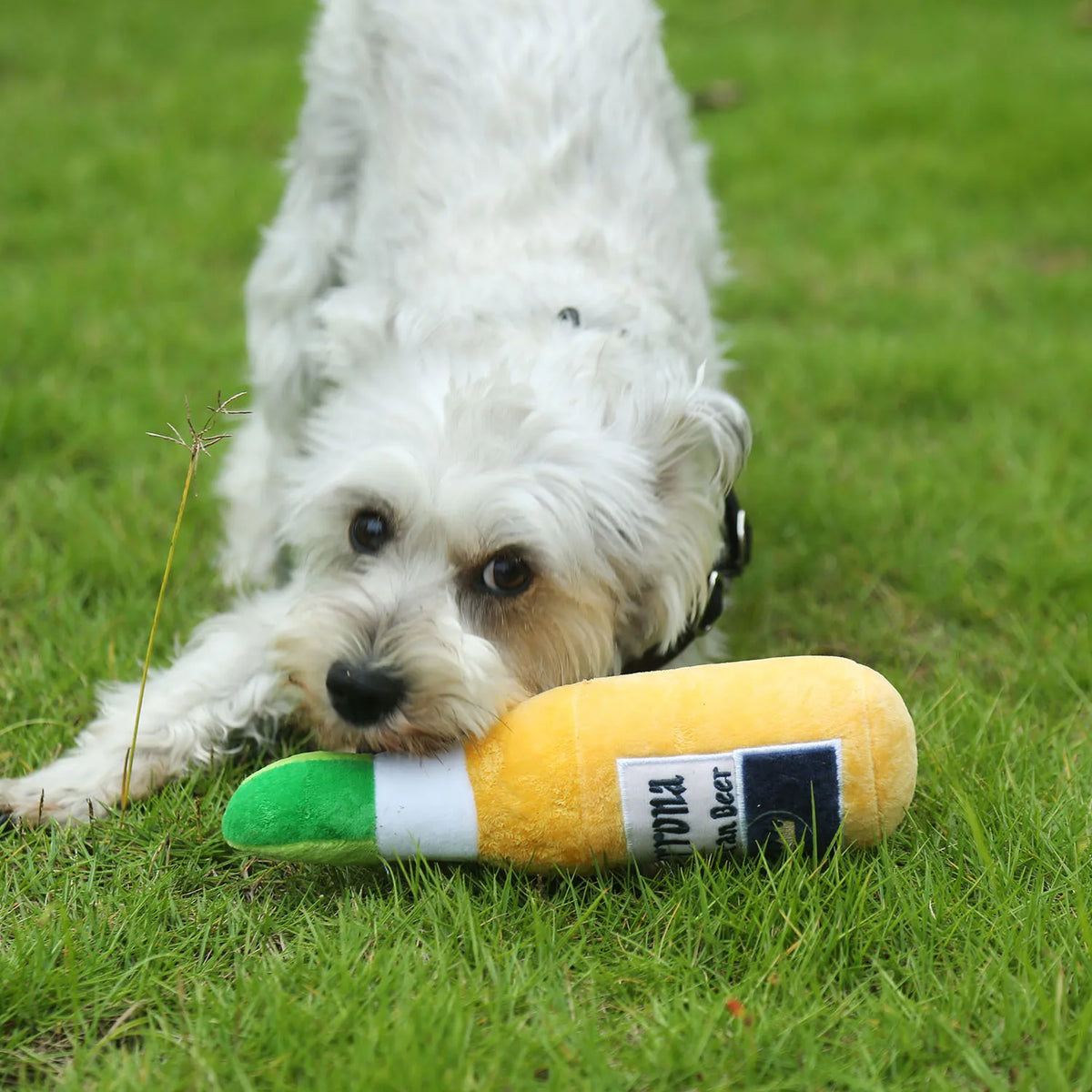 PawJoy interaktives Hundespielzeug in gelber Weinflasche