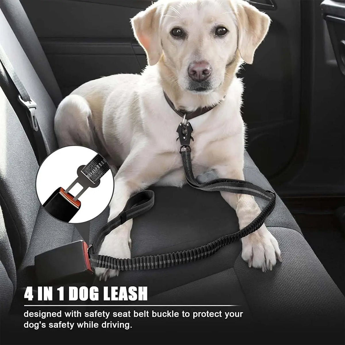 Reflektierende Bungee-Hundeleine aus Nylon – Für große Hunde, Schwarz