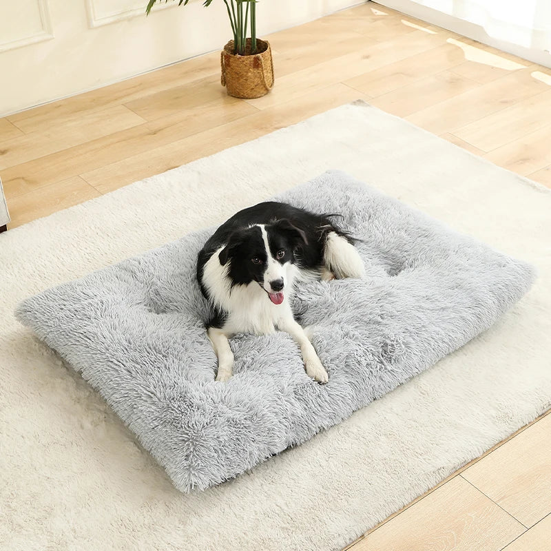 Paw Haven Luxus-Plüsch-Hunde- und Katzenbett
