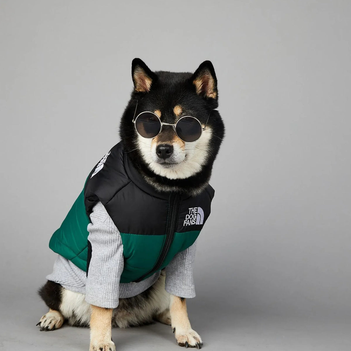 Der luxuriöse Hundeanzug für Hundefans