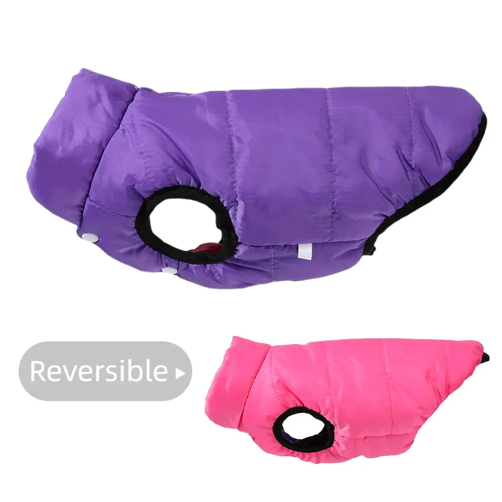 ThermoPaws DuoShield – Wendbare Winterjacke mit Leinenöffnung für Hunde & Katzen