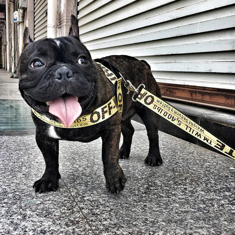 Lux Welpe Goldener Hund Halsband- und Leinen-Set