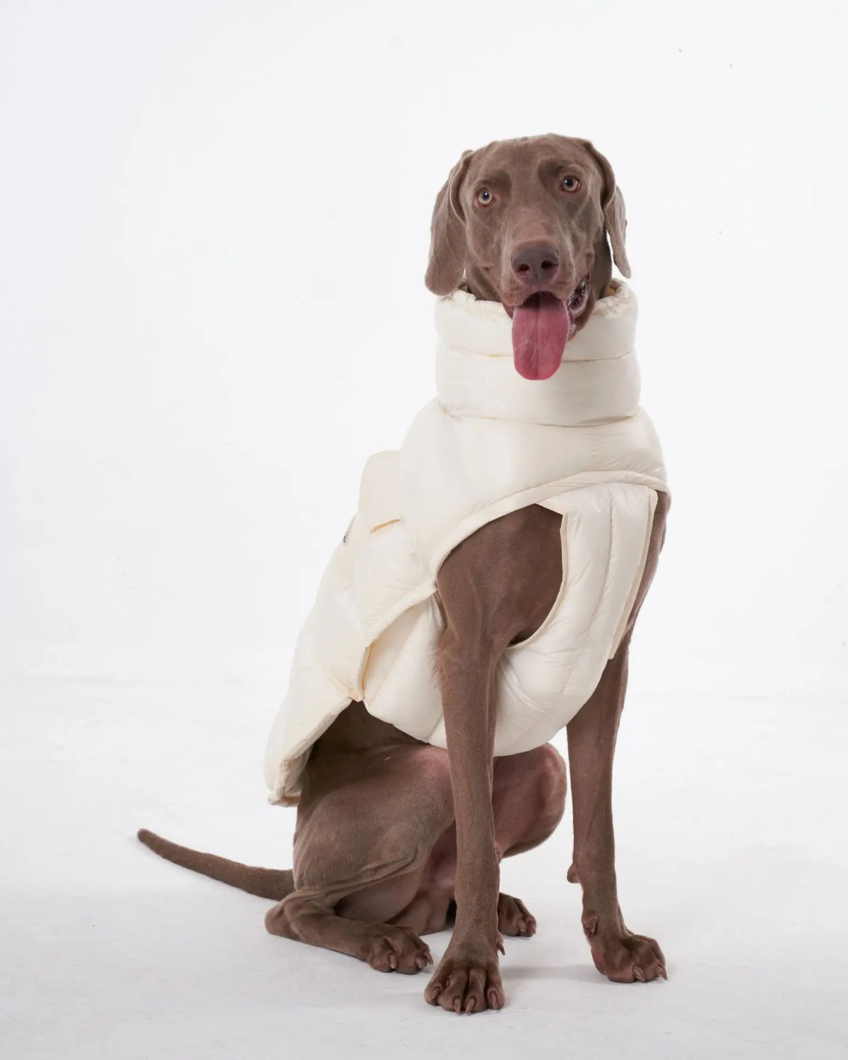 Premium Winter Winddichte Hundejacke