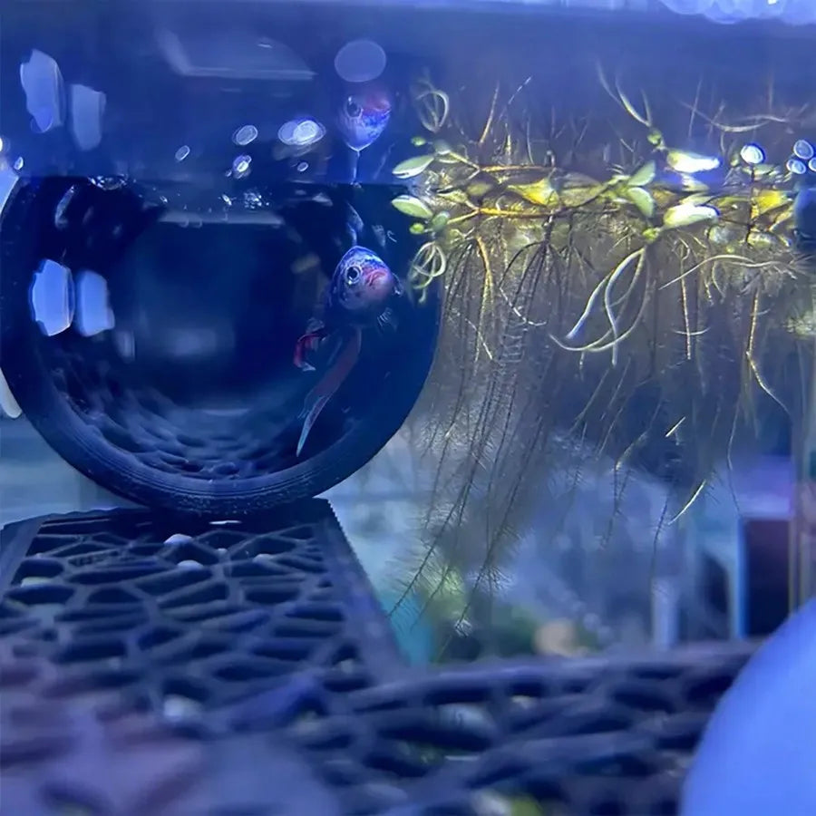 AquaHaven Schwarze Aquarium-Versteckröhre mit Saugnapf