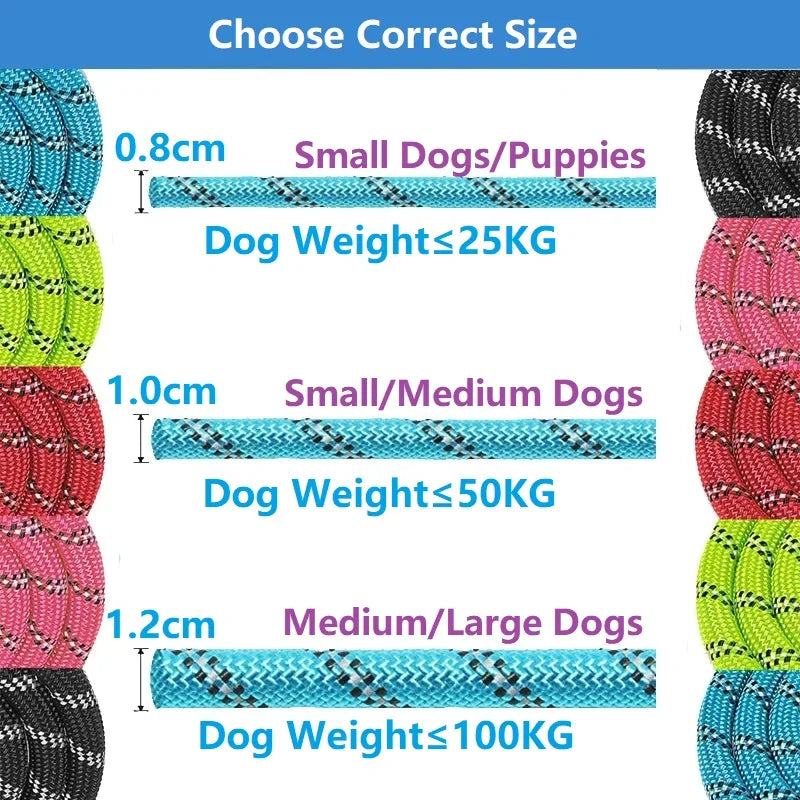 Robuste Nylon-Hundeleine 150 cm, 200 cm, 300 cm – mit weichem Griff und Karabinerhaken