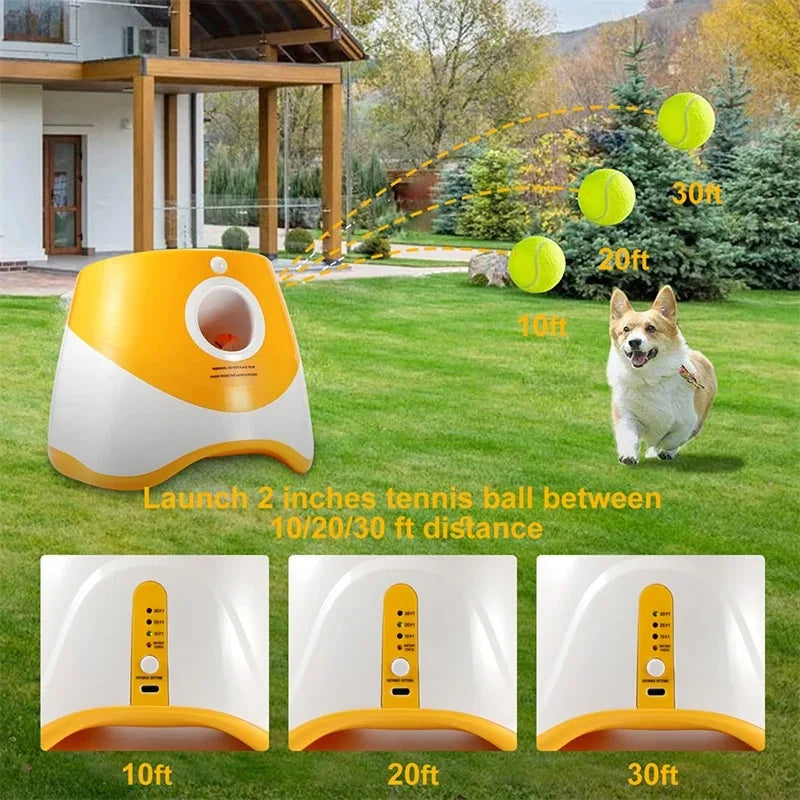 Automatischer Ballwerfer für Hunde – 6 Bälle, USB-aufladbar, 5 cm
