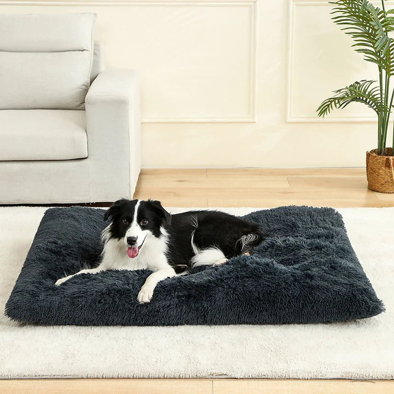 Paw Haven Luxus-Plüsch-Hunde- und Katzenbett