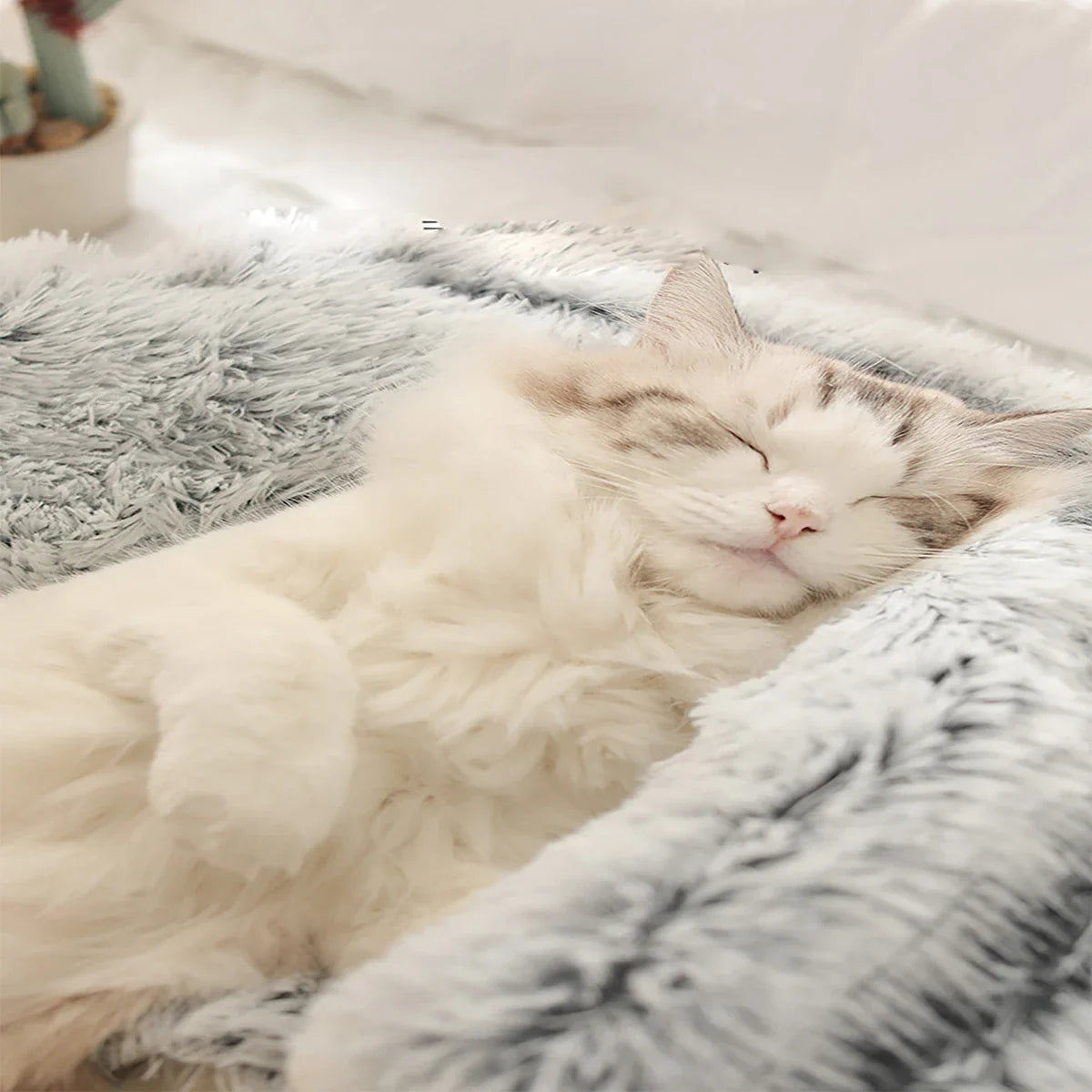 Flauschiges Donut-Katzenbett mit Mütze – weich und warm für kleine Haustiere