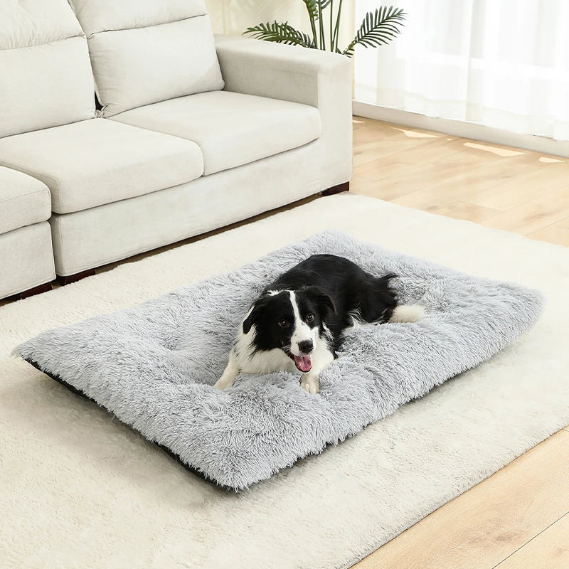 Paw Haven Luxus-Plüsch-Hunde- und Katzenbett