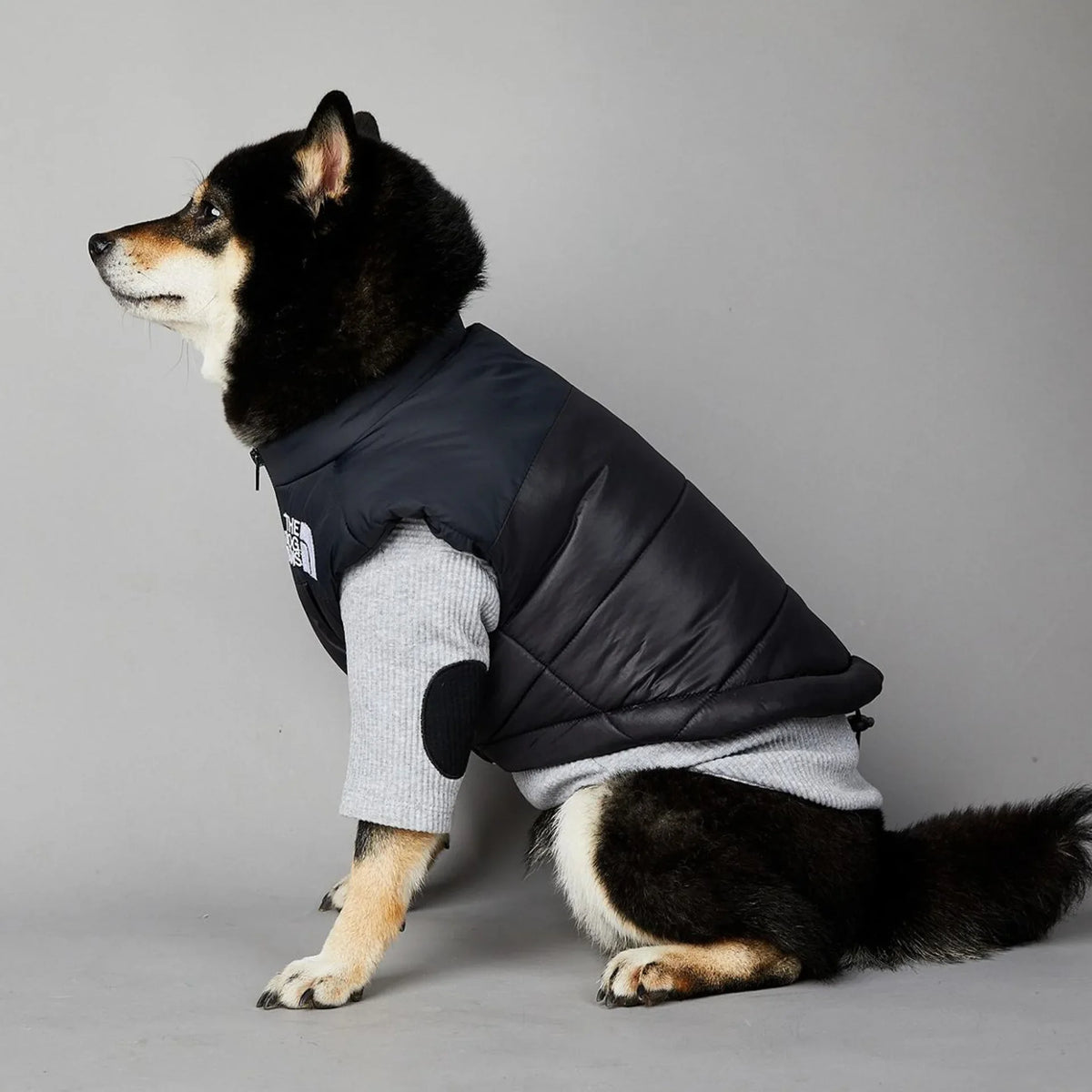 Der luxuriöse Hundeanzug für Hundefans