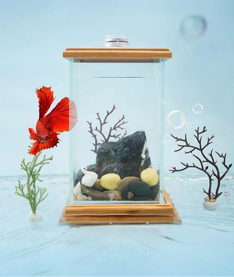 AquaGlow LED zylindrisches Mini-Aquarium