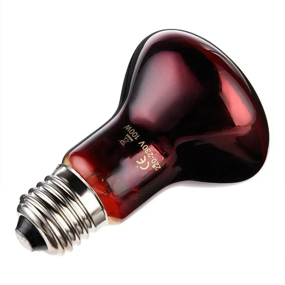 220-V-Infrarot-Heizlampe