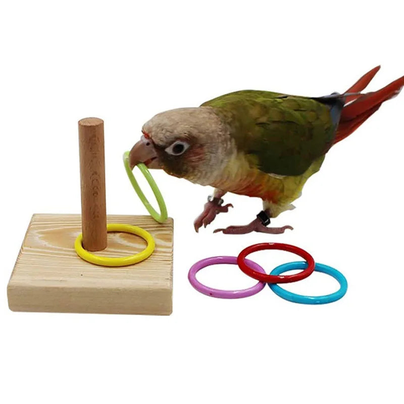 Vogeltrainingsspielzeug aus Holz und Kunststoff – pädagogisch wertvoll für Papageien
