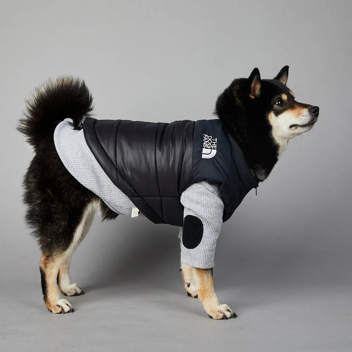 Der luxuriöse Hundeanzug für Hundefans