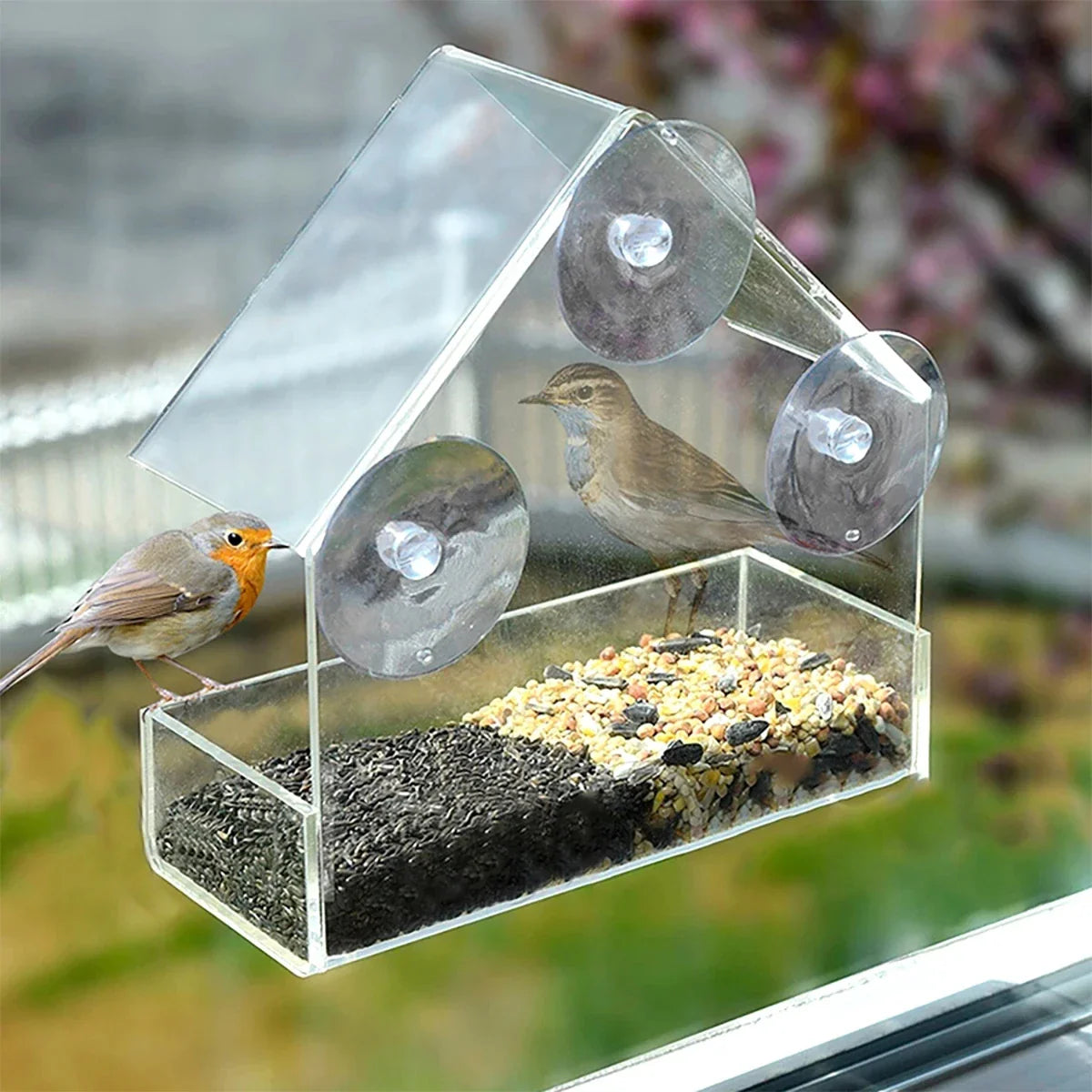 Transparenter Acryl-Fenster-Vogelfutterspender mit Saugnäpfen, 15 x 6 x 15 cm