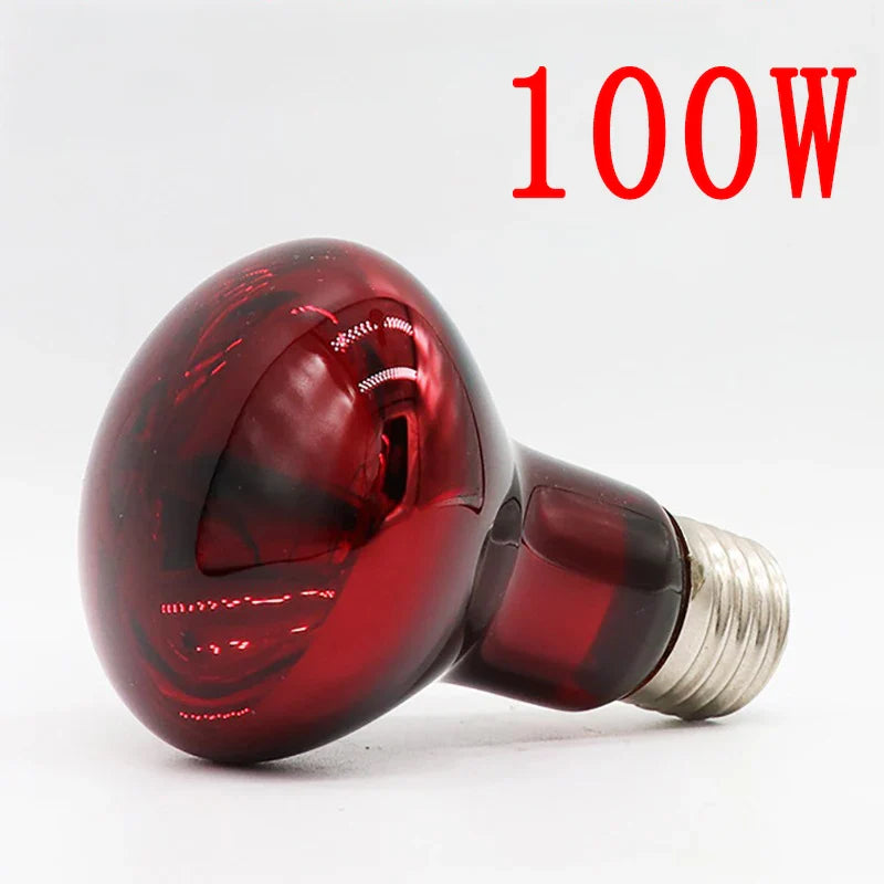 220-V-Infrarot-Heizlampe