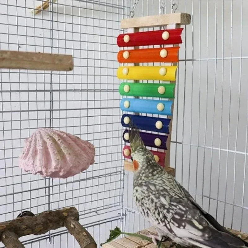 Vogel-Xylophon-Spielzeug aus Holz und Metall – buntes Hühner- und Wellensittichspielzeug