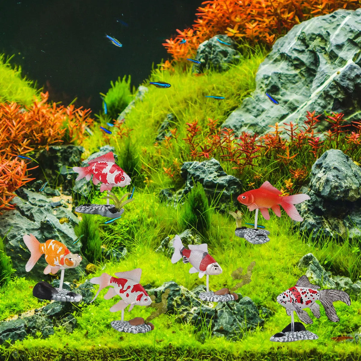 Schmuck-Aquariumdekoration