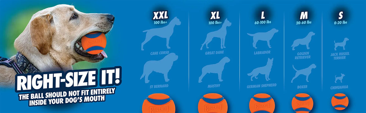 Chuckit UltraBounce Spielball – Kleiner Hüpfball für Hunde