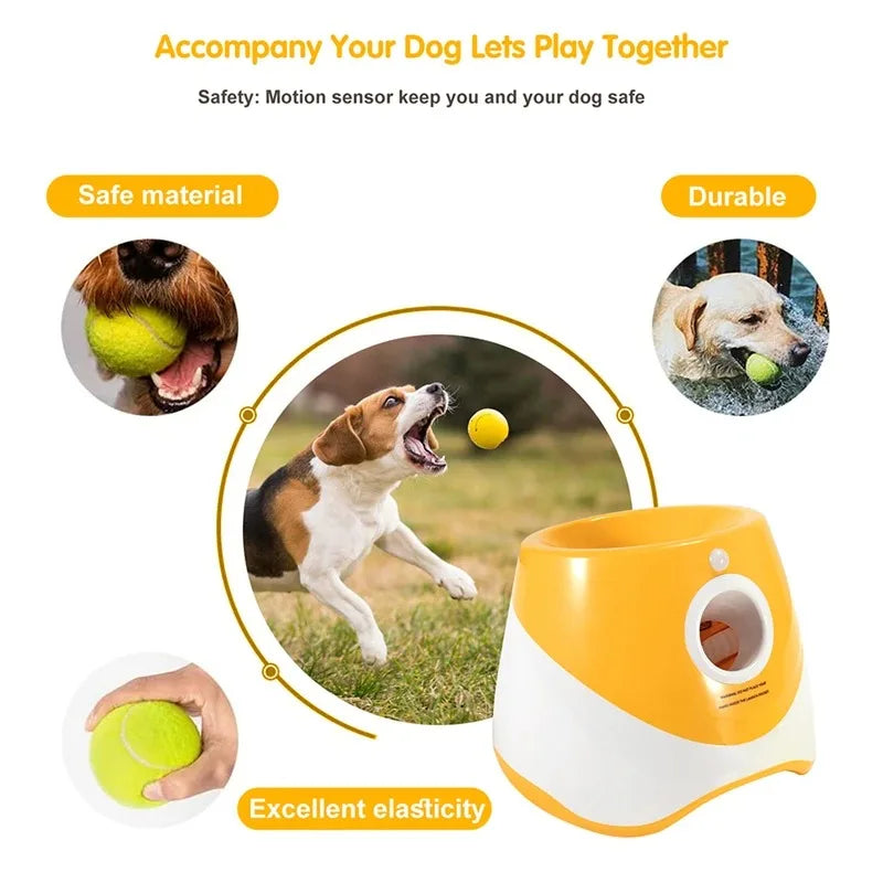 Automatischer Ballwerfer für Hunde – 6 Bälle, USB-aufladbar, 5 cm