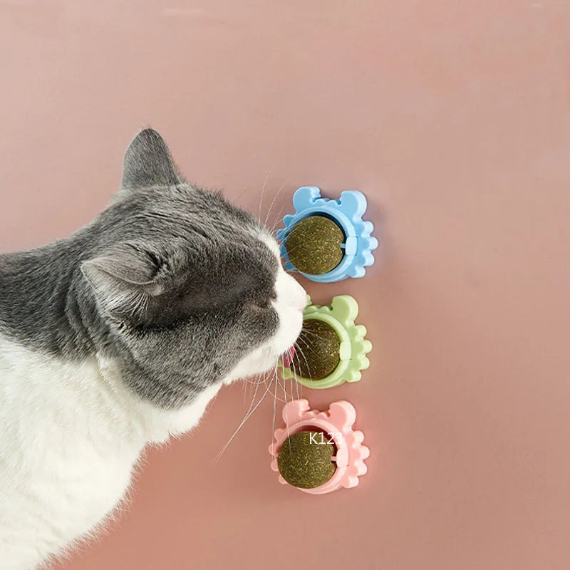 CatVita LickBall – Katzenminze Leck- & Snackball für Zahnpflege und Verdauung