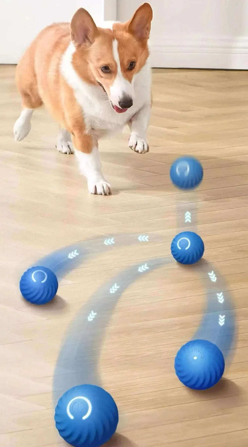 JumpiBall – Intelligenter Hüpfball für Hunde
