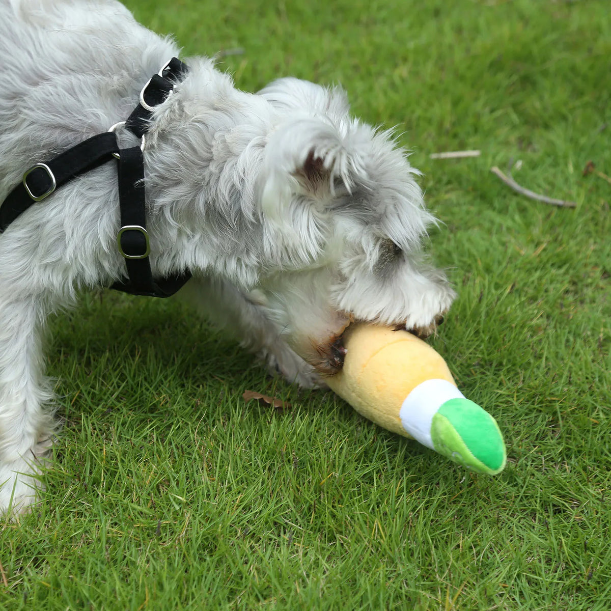 PawJoy interaktives Hundespielzeug in gelber Weinflasche