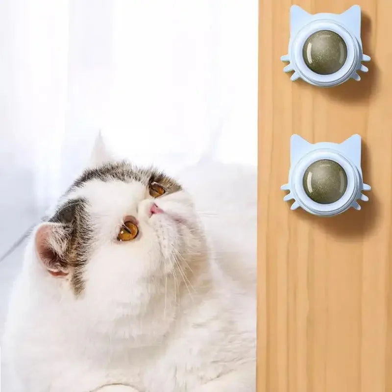 MINTYPLAY Leckbarer Kräuterball für Katzen – Snack, Spielzeug & Zahnpflege in einem!