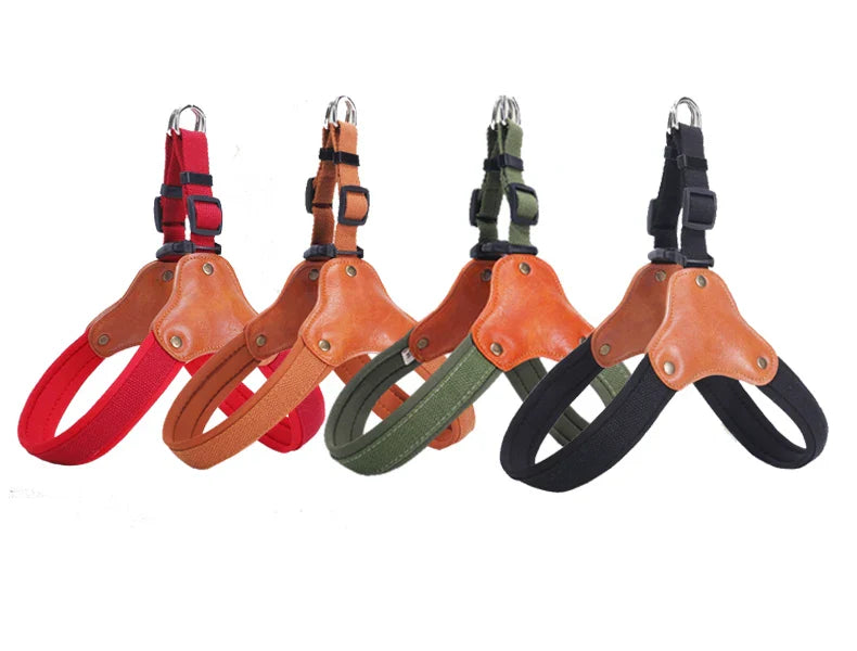 PawCommand Premium Outdoor Geschirr-Set