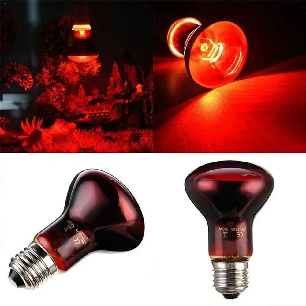 220-V-Infrarot-Heizlampe