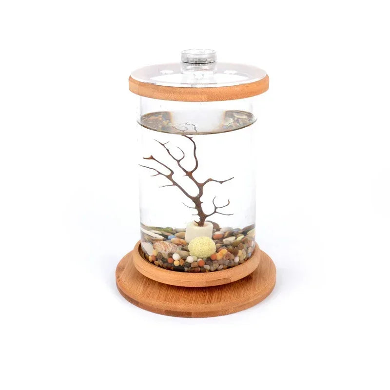 AquaGlow LED zylindrisches Mini-Aquarium
