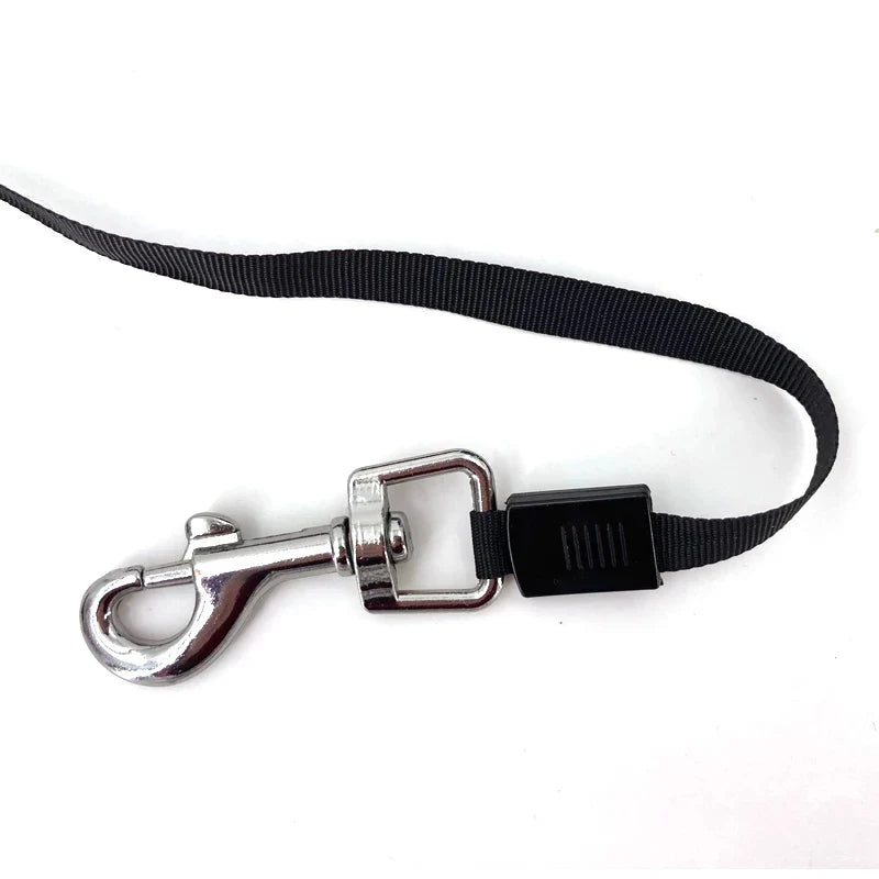 Einziehbare Hundeleine 3 m oder 5 m – Nylon