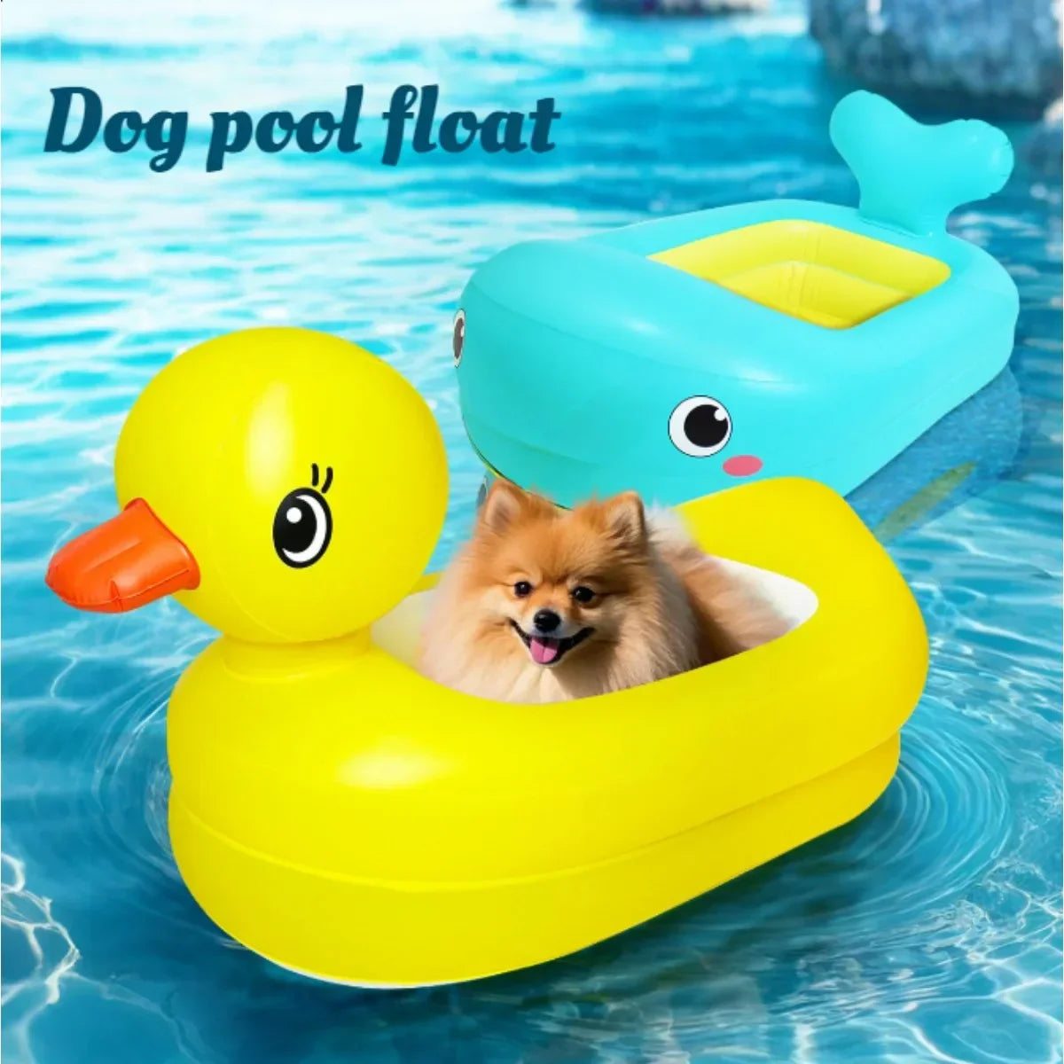 SwimBuddy 2-in-1 Hundepool-Schwimmhilfe